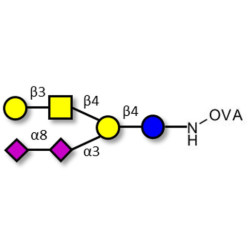GD1b Ganglioside oligosaccharide grafted on OVA