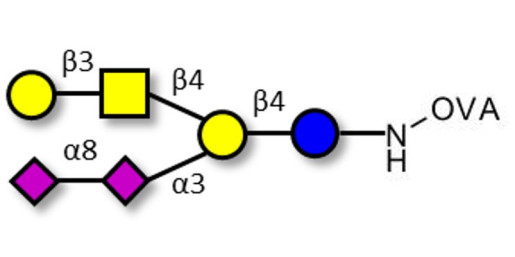 GD1b Ganglioside oligosaccharide grafted on OVA