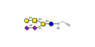 GD1b Ganglioside...