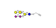 GD1b Ganglioside...