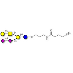 GD1b Ganglioside oligosaccharide with terminal alkyne (Linker-CΞCH C)
