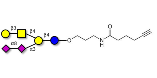 GD1b Ganglioside oligosaccharide with terminal alkyne (Linker-CΞCH C)