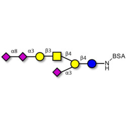 GT1a Ganglioside oligosaccharide grafted on BSA