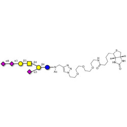 GT1a Ganglioside oligosaccharide linked to biotin (Linker-BT A)