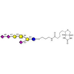 GT1a Ganglioside oligosaccharide linked to biotin (Linker-BT B)