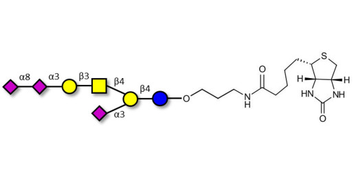 GT1a Ganglioside oligosaccharide linked to biotin (Linker-BT B)