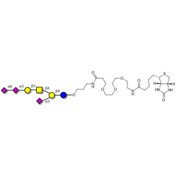 GT1a Ganglioside oligosaccharide linked to biotin (Linker-BT C)