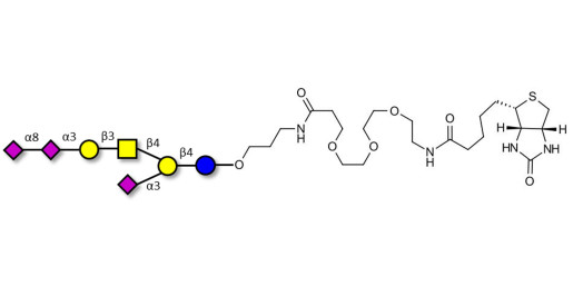 GT1a Ganglioside oligosaccharide linked to biotin (Linker-BT C)