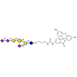 GT1a Ganglioside oligosaccharide linked to fluorescein (Linker-FLUO A)