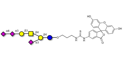 GT1a Ganglioside oligosaccharide linked to fluorescein (Linker-FLUO A)