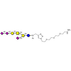 GT1a Ganglioside oligosaccharide grafted on gel for affinity chromatography (Linker-GEL A)