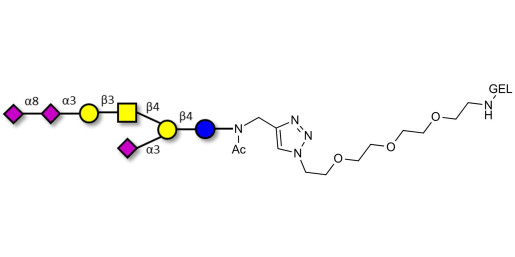 GT1a Ganglioside oligosaccharide grafted on gel for affinity chromatography (Linker-GEL A)