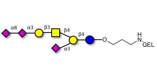 GT1a Ganglioside oligosaccharide grafted on gel for affinity chromatography (Linker-GEL B)
