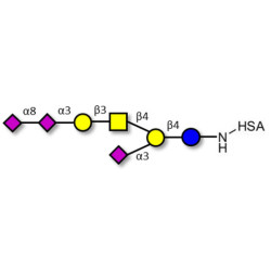 GT1a Ganglioside oligosaccharide grafted on HSA