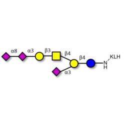 GT1a Ganglioside oligosaccharide grafted on KLH