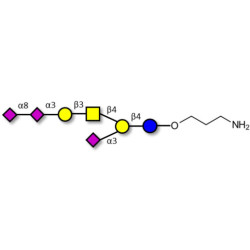 GT1a Ganglioside oligosaccharide with free terminal amine (Linker-NH2 A)