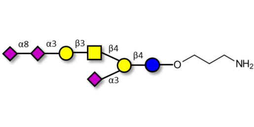 GT1a Ganglioside oligosaccharide with free terminal amine (Linker-NH2 A)