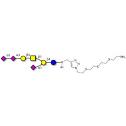 GT1a Ganglioside oligosaccharide with free terminal amine (Linker-NH2 B)