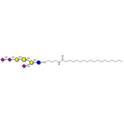 GT1a Ganglioside oligosaccharide with stearic chain (Linker-STEA A)