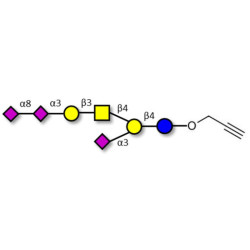 GT1a Ganglioside oligosaccharide with terminal alkyne (Linker-CΞCH B)