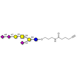 GT1a Ganglioside oligosaccharide with terminal alkyne (Linker-CΞCH C)