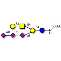GT1c Ganglioside oligosaccharide grafted on BSA