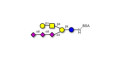 GT1c Ganglioside oligosaccharide grafted on BSA