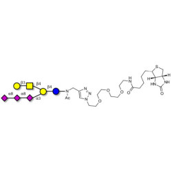 GT1c Ganglioside oligosaccharide linked to biotin (Linker-BT A)
