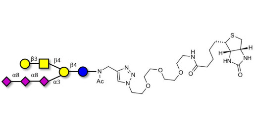 GT1c Ganglioside oligosaccharide linked to biotin (Linker-BT A)