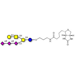 GT1c Ganglioside oligosaccharide linked to biotin (Linker-BT B)