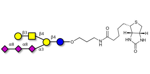 GT1c Ganglioside oligosaccharide linked to biotin (Linker-BT B)