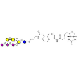 GT1c Ganglioside oligosaccharide linked to biotin (Linker-BT C)