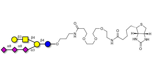 GT1c Ganglioside oligosaccharide linked to biotin (Linker-BT C)