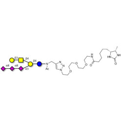 GT1c Ganglioside oligosaccharide linked to desthiobiotin (Linker-DBT-A)
