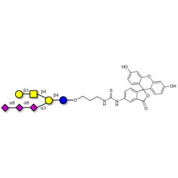 GT1c Ganglioside oligosaccharide linked to fluorescein (Linker-FLUO A)