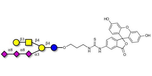 GT1c Ganglioside oligosaccharide linked to fluorescein (Linker-FLUO A)