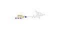 GT1c Ganglioside oligosaccharide linked to fluorescein (Linker-FLUO A)