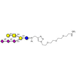 GT1c Ganglioside oligosaccharide grafted on gel for affinity chromatography (Linker-GEL A)