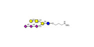 GT1c Ganglioside...