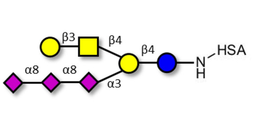GT1c Ganglioside oligosaccharide grafted on HSA