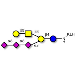 GT1c Ganglioside oligosaccharide grafted on KLH