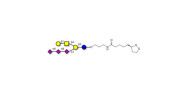 GT1c Ganglioside...