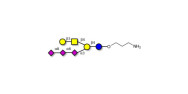 GT1c Ganglioside...