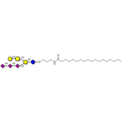 GT1c Ganglioside oligosaccharide with stearic chain (Linker-STEA A)