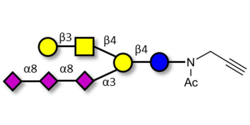 GT1c Ganglioside oligosaccharide with terminal alkyne (Linker-CΞCH A)