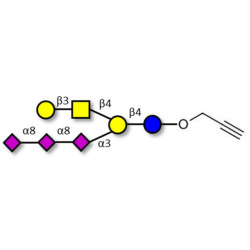 GT1c Ganglioside oligosaccharide with terminal alkyne (Linker-CΞCH B)