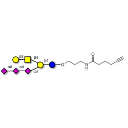 GT1c Ganglioside oligosaccharide with terminal alkyne (Linker-CΞCH C)