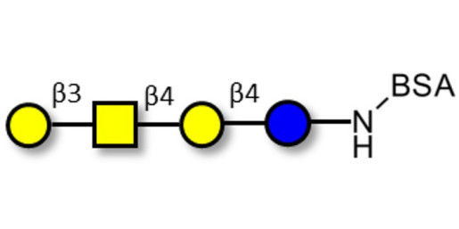 Asialo GM1 Ganglioside oligosaccharide (aGM1) grafted on BSA - GA1 ; Gangliotetraose