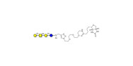 Asialo GM1 Ganglioside...