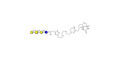 Asialo GM1 Ganglioside oligosaccharide (aGM1) linked to biotin (Linker-BT A) - GA1 ; Gangliotetraose